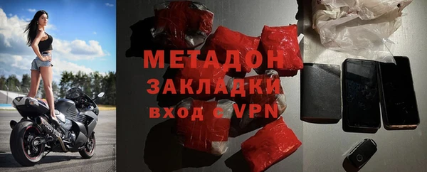 прущие грибы Беломорск