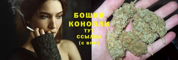 apvp Белокуриха
