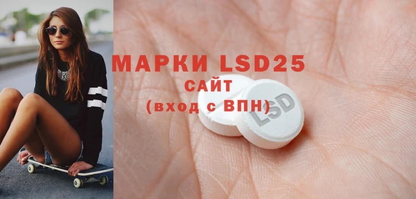 прущие грибы Беломорск