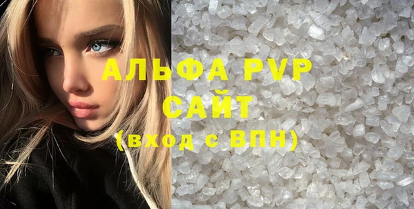 прущие грибы Беломорск