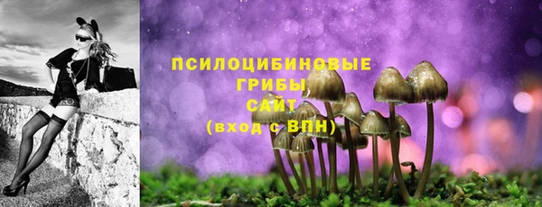 прущие грибы Беломорск