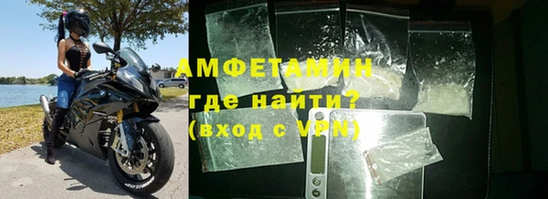 прущие грибы Беломорск