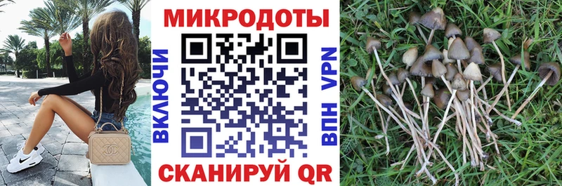 наркотики  Ахтырский  Галлюциногенные грибы Psilocybine cubensis 